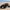 Can-Am Maverick R Flat Top Roll Cage