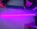 Hyper Color LED Lighted Whip with Mount (Single)