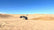 2017+ Can Am Maverick X3 Max Drag Cage by UTV Speed