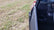 Polaris Ranger 1000 / XP 1000 (2020-2025) Half Doors