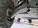 Can-Am Defender (2020-2025) Factory Arched A-Arm Guards