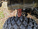 Polaris Xpedition Full Skid Plate