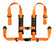 2" 4-Point Harness with Auto Buckle