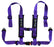 2" 4-Point Harness with Auto Buckle