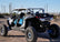 Polaris RZR 2014-2023 4DR Standard Radius Cage