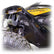 Can-Am Maverick R Front Aluminum Rock Guard Kit DRT Motorsports