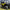 Can-Am Maverick Sport Backseat and Roll Cage Kit UTVMA