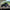 Delta 6R UTV Beadlock Wheel (Satin Black Contrast Cut) Metal FX Offroad