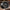 Delta 6R UTV Beadlock Wheel (Satin Black) Metal FX Offroad