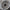 Delta R UTV Beadlock Wheel (Raw) Metal FX Offroad