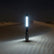 Game Changer LED Whip with Lollypop Red Base (Single) Marshin Whips