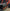 Honda Talon Lower Doors