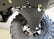 Can-Am Maverick Trail Front A-Arm Guards