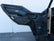 Polaris General Front Upper Door Bags PRP
