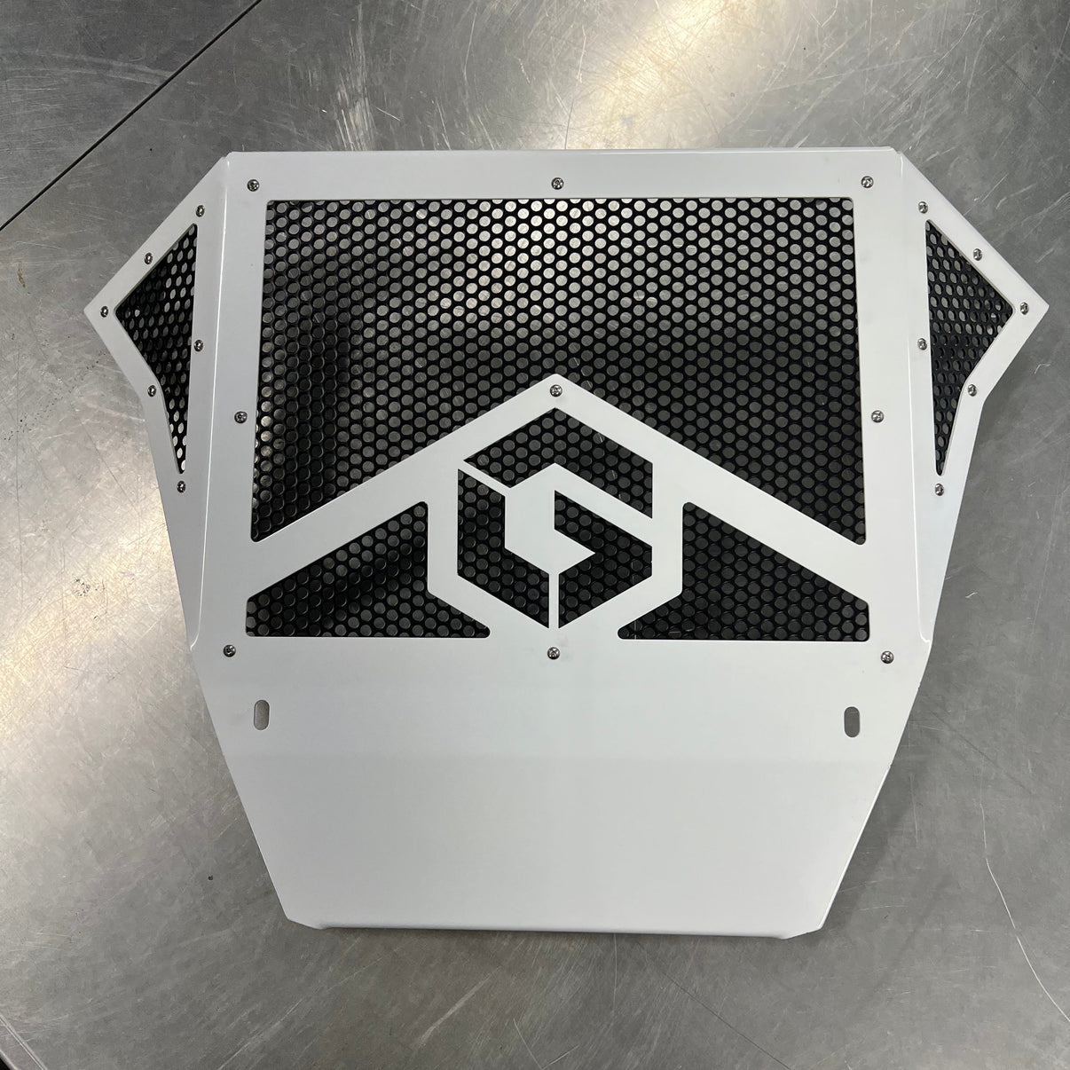 Polaris RZR 200 Rear Fascia Geiser Performance