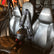 Polaris RZR 570 (2017-2022) Bump Seat with Harness UTVMA