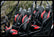 Polaris RZR 900 (2015-2024) Front & Rear Bump Seats with Harnesses UTVMA