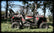 Polaris RZR 900 Back Seat and Roll Cage UTVMA