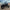 Polaris RZR Pro R (2-Seat) Roll Cage Geiser Performance