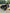 Polaris RZR XP (2024) 2-Seat Roll Cage L&W Fab