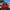 Polaris RZR XP (2024+) Front Intrusion Bar Factory UTV