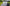 Polaris Ranger Mid-Size 500 / 570 / EV Full Front Windshield Trail Armor