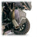 Polaris Xpedition Exhaust Cover DRT Motorsports