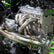 Kawasaki Teryx H2 2.5" Full Exhaust System with Chambered Muffler + Optional E-Valve