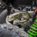 Kawasaki Teryx H2 Big Mouth Resonated Cat Delete Mid Pipe With E-Valve