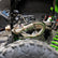 Kawasaki Teryx H2 Big Mouth Resonated Cat Delete Mid Pipe