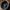 Slayer UTV Beadlock Wheel (Gloss Black) Metal FX Offroad