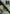 UTV Grab Handles UTVMA