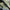 UTV Grab Handles UTVMA